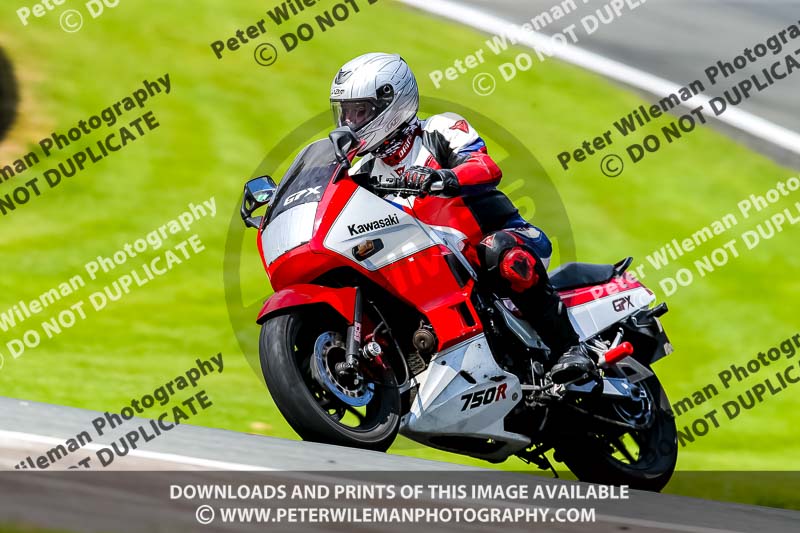 PJ Motorsport 2019;anglesey;brands hatch;cadwell park;croft;donington park;enduro digital images;event digital images;eventdigitalimages;mallory;no limits;oulton park;peter wileman photography;racing digital images;silverstone;snetterton;trackday digital images;trackday photos;vmcc banbury run;welsh 2 day enduro